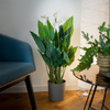 Artificial Potted Plant Kalia 96 cm